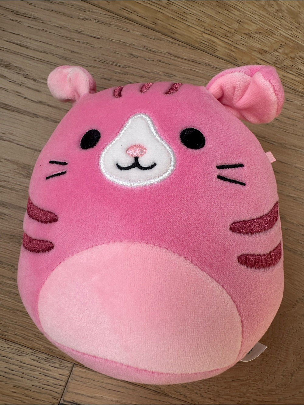 Squishmallows Geraldine the Pink Cat plush
